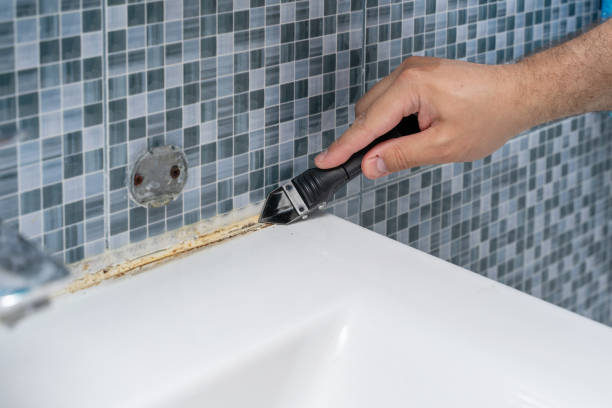 Best Emergency Mold Remediation in Ten Mile Creek, MD